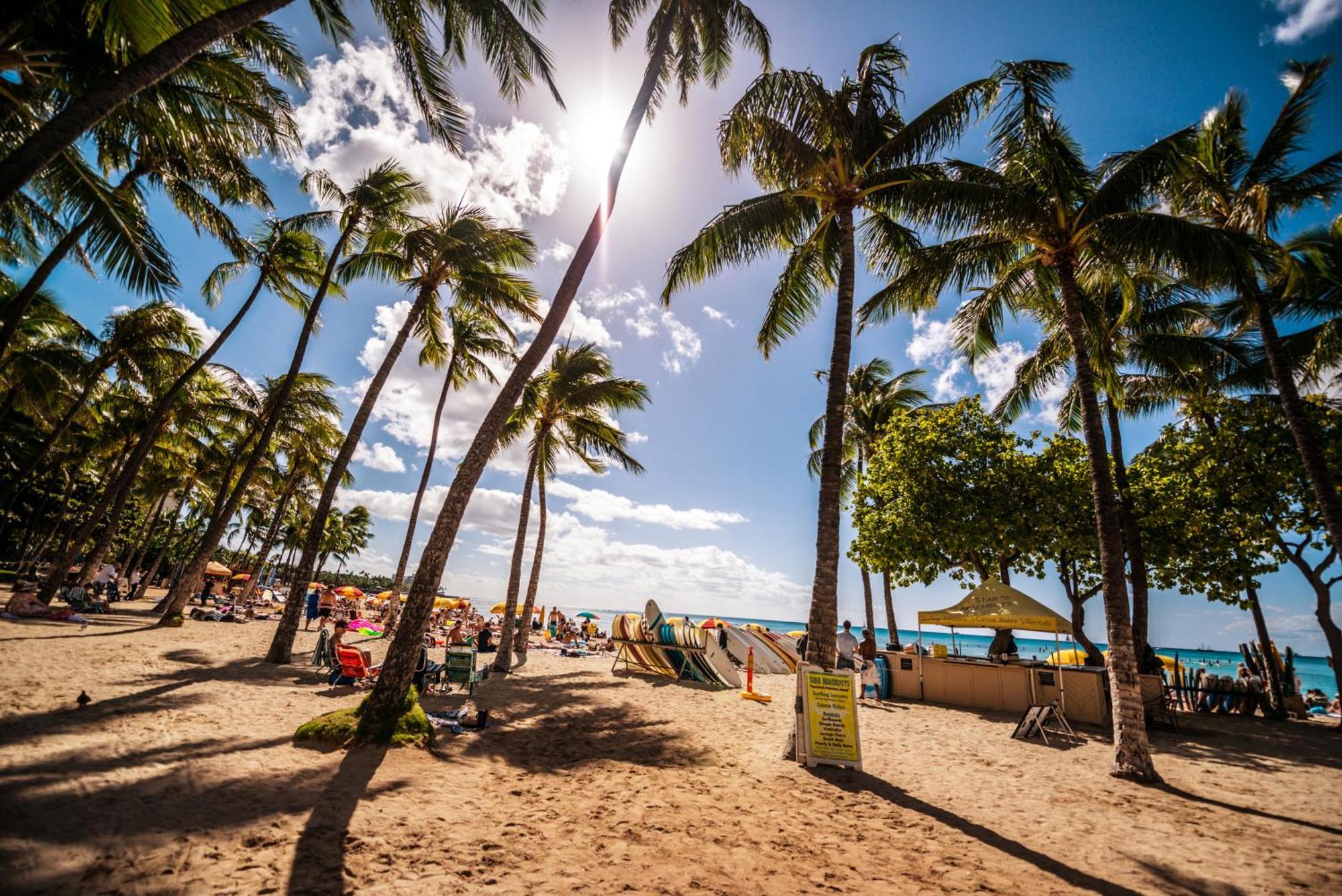 Mountain View Condo W/ King-Size Bed, Free Parking Honolulu Buitenkant foto